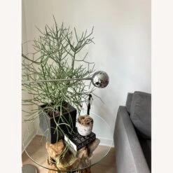 Room & Board Modern Stainless Lamp