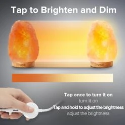 Other Table Lamp -Othe Furniture Shop 1500 1500 frame 0 1769