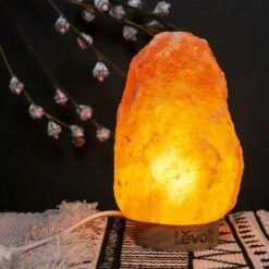 Other Table Lamp -Othe Furniture Shop 1500 1500 frame 0 1774