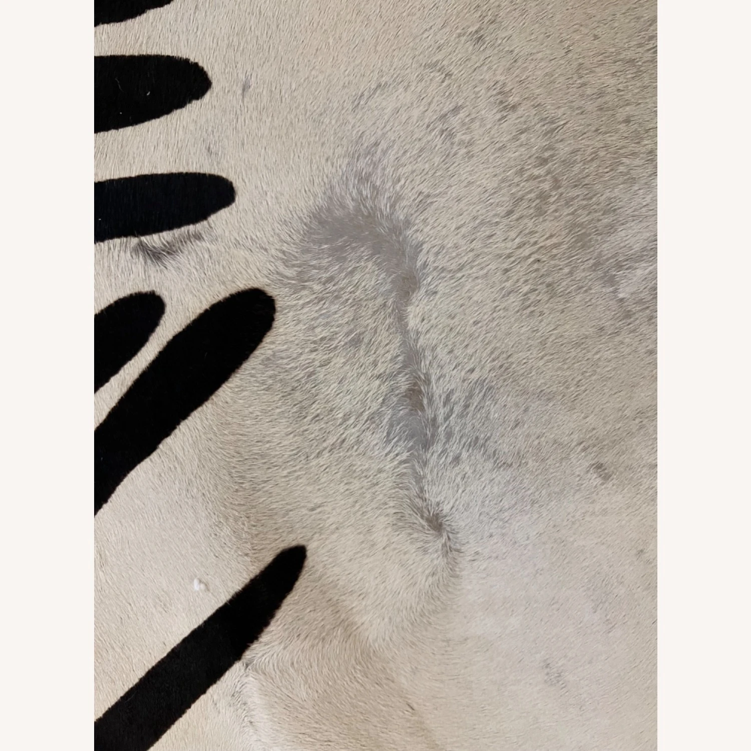 Zebra Stamped Cow Hide Rug 11 Zebra Stamped Cow Hide Rug - Image 9