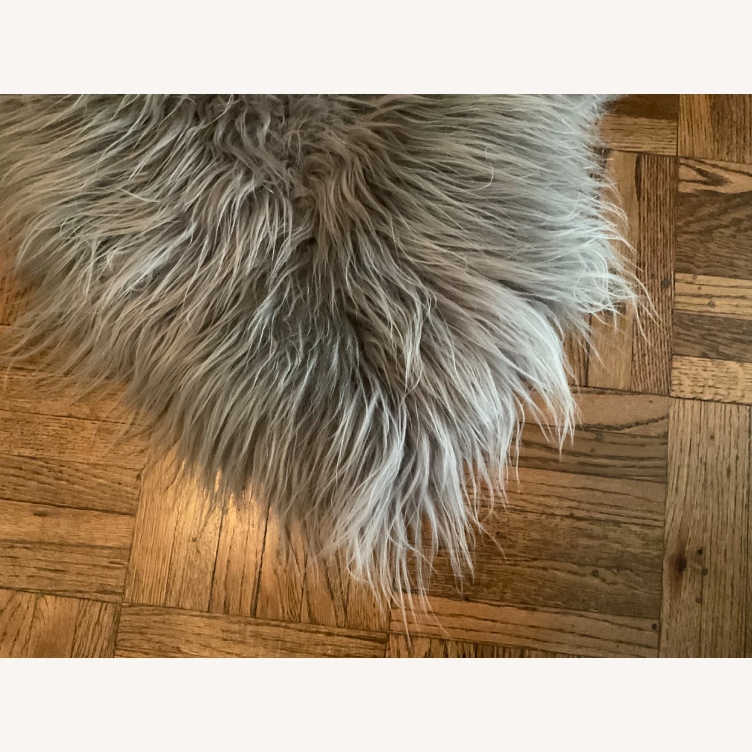 Other Icelandic Longhaired Sheepskin Rug 3 Other Icelandic Longhaired Sheepskin Rug