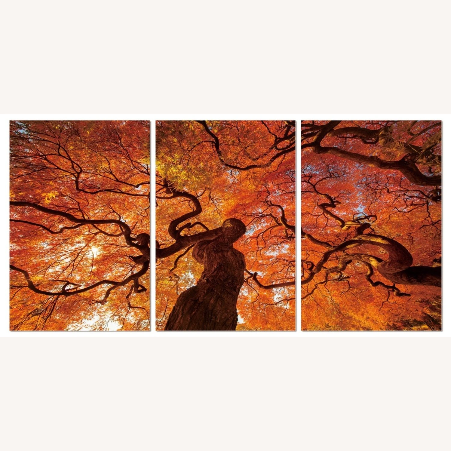 Other Oak Tree Wall Art In Acrylic Canvas Finish 6 Other Oak Tree Wall Art In Acrylic Canvas Finish - Image 4