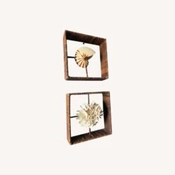 Shadow Boxes Of Nautilus And Cake Coral -Othe Furniture Shop 1500 1500 frame 0 5916