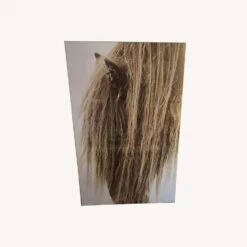 Other "Hair" Limited Edition Photograph, Roberto Dutesco -Othe Furniture Shop 1500 1500 frame 0 6287