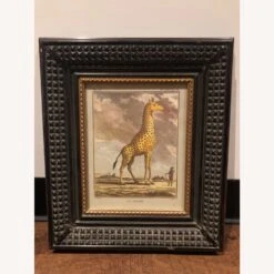 Other African Safari Animals Picture Frames -Othe Furniture Shop 1500 1500 frame 0 6292