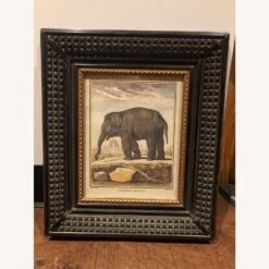 Other African Safari Animals Picture Frames -Othe Furniture Shop 1500 1500 frame 0 6293