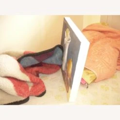 Other Pitchers And Fruits -Othe Furniture Shop 1500 1500 frame 0 6297