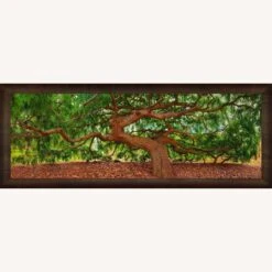 Peter Lik Spirit Of Wisdom, Limited Edition -Othe Furniture Shop 1500 1500 frame 0 6605