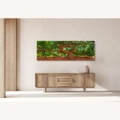 Peter Lik Spirit Of Wisdom, Limited Edition -Othe Furniture Shop 1500 1500 frame 0 6607
