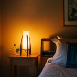 Other Mid Century Modern American Walnut Lamp -Othe Furniture Shop 1500 1500 frame 0 704