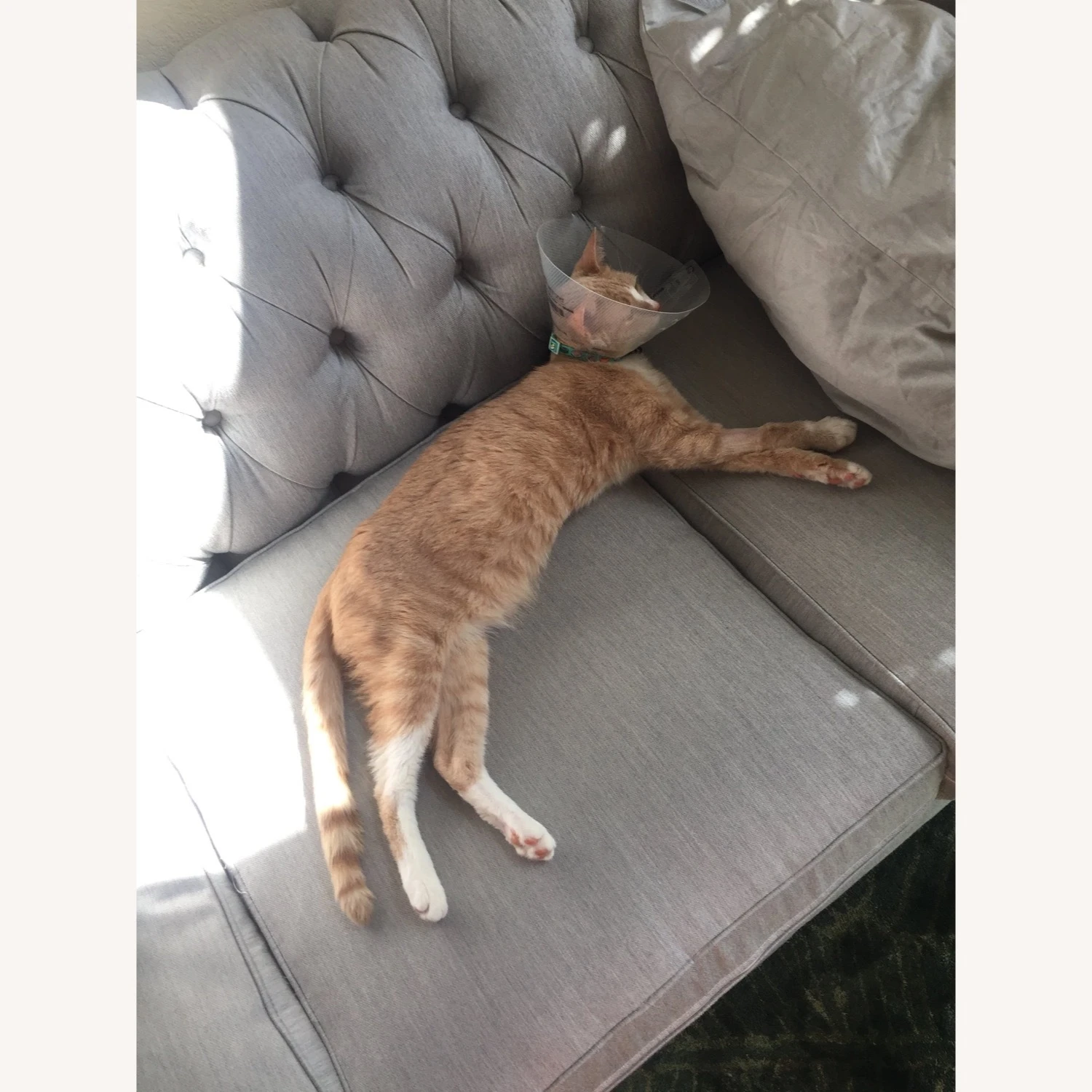 Joybird Gray Liam Sleeper Sofa 10 Joybird Gray Liam Sleeper Sofa - Image 8